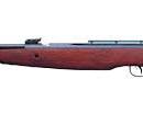 Gamo CFX Royal .22cal - Premium High Precision Fixed Barrel Air Rifle
