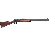 Henry .22 Octagon Pump