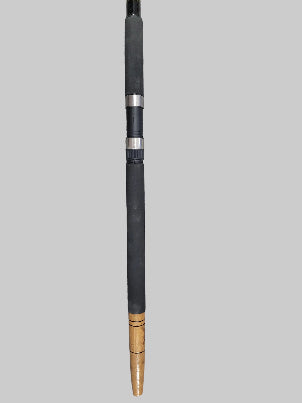 atlantis fishing pole Neptune Tackle Atlantis Surf Rod