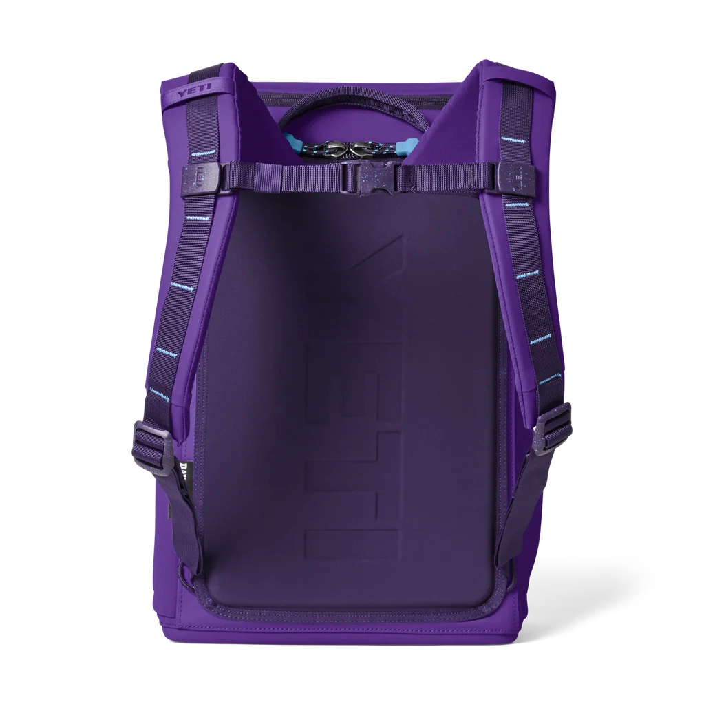 Yeti Daytrip 20L Backpack