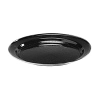 Enamel Dinner Plate