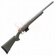 Howa Mini Action Varmint Stainless