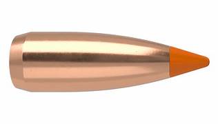 NOSLER