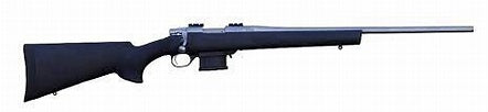 Howa Mini Action Varmint Stainless