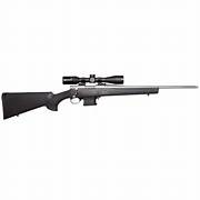 Howa Mini Action Stainless