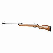 GAMO BIG CAT HUNTER .22 AIR RIFLE 722FPS