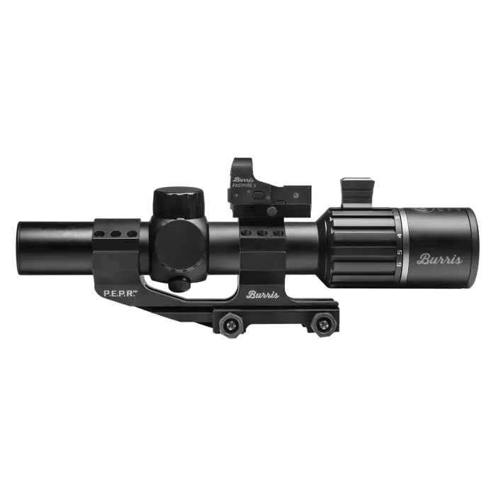 Burris RT-6 1-6x24 LPVO & Fastfire Reflex