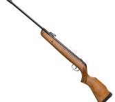 GAMO BIG CAT HUNTER .22 AIR RIFLE 722FPS
