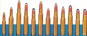 Federal Ammunition