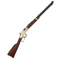 Henry 22LR Golden Boy