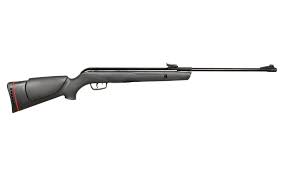 Gamo Big Cat 1000