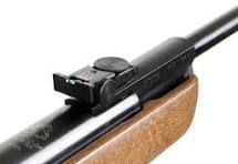 GAMO BIG CAT HUNTER .22 AIR RIFLE 722FPS