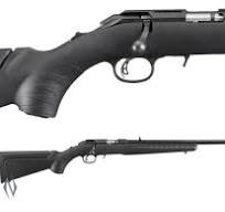 Ruger American Rimfire