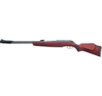Gamo CFX Royal .22cal - Premium High Precision Fixed Barrel Air Rifle