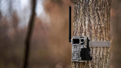 SPYPOINT Link-Micro-LTE Cellular Trail Camera
